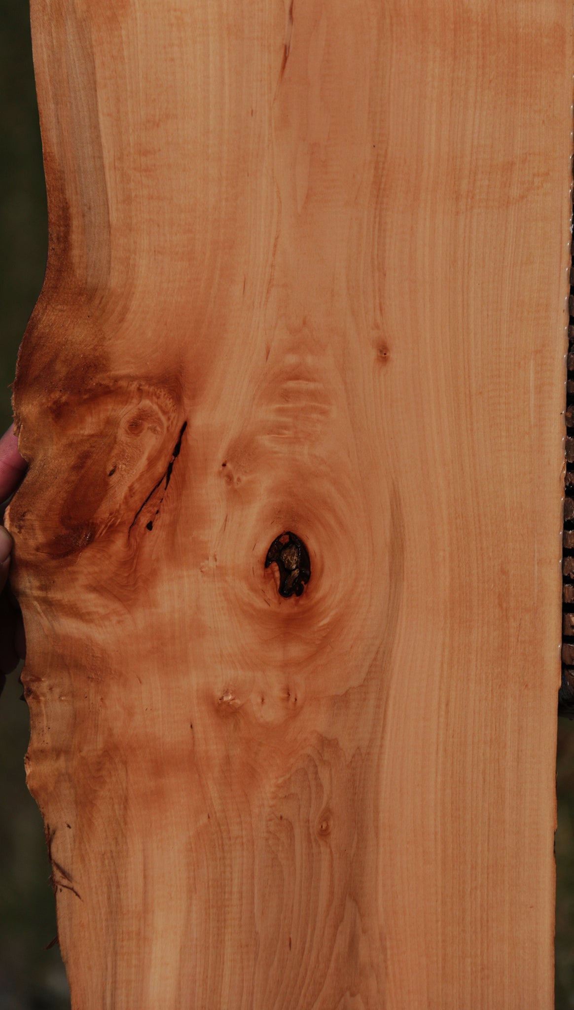 Swiss Pear Live Edge Lumber