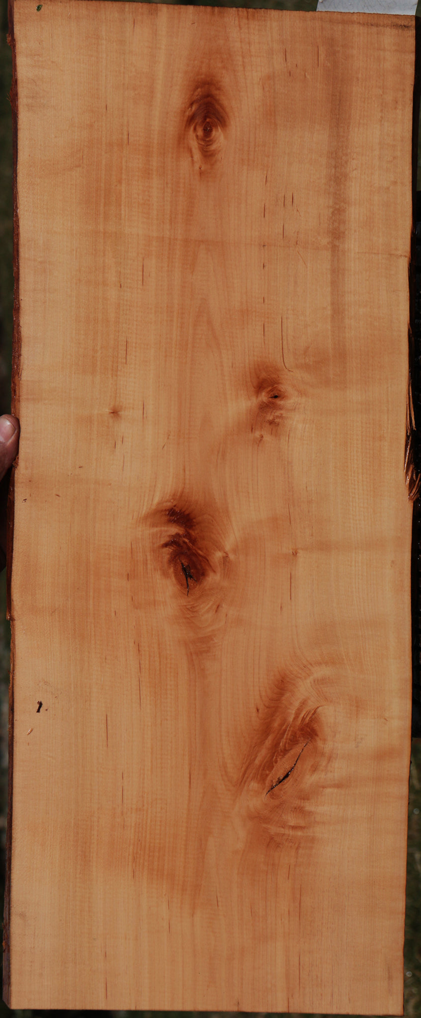 Swiss Pear Live Edge Lumber