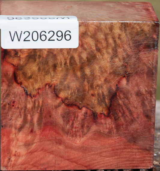 Exhibition Madrone Burl Bowl Blank