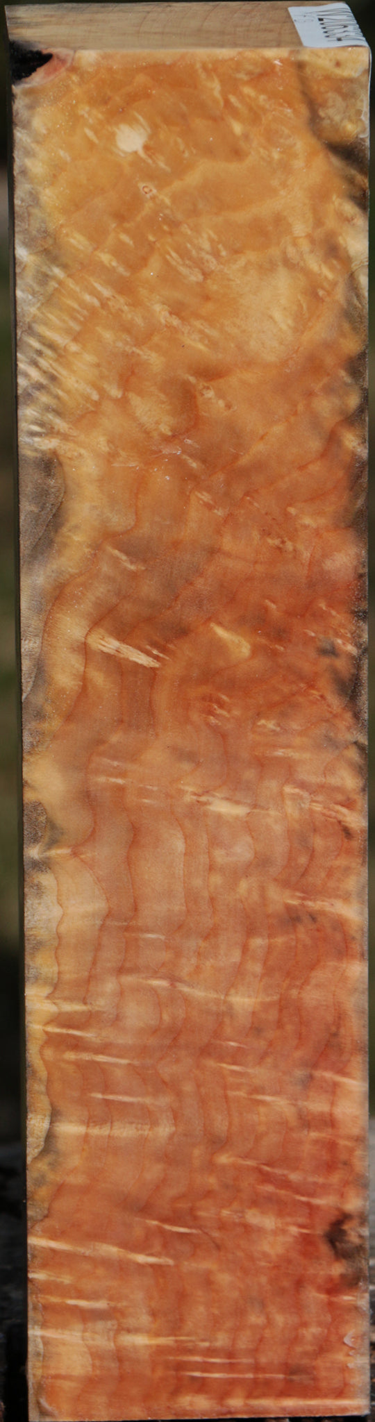 Extra Fancy Madrone Burl Turning Square
