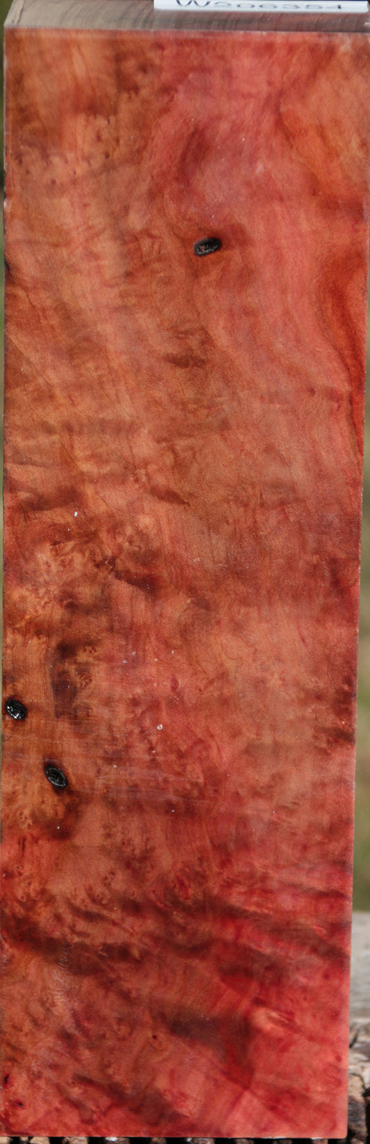 Exhibition Madrone Burl Turning Blank