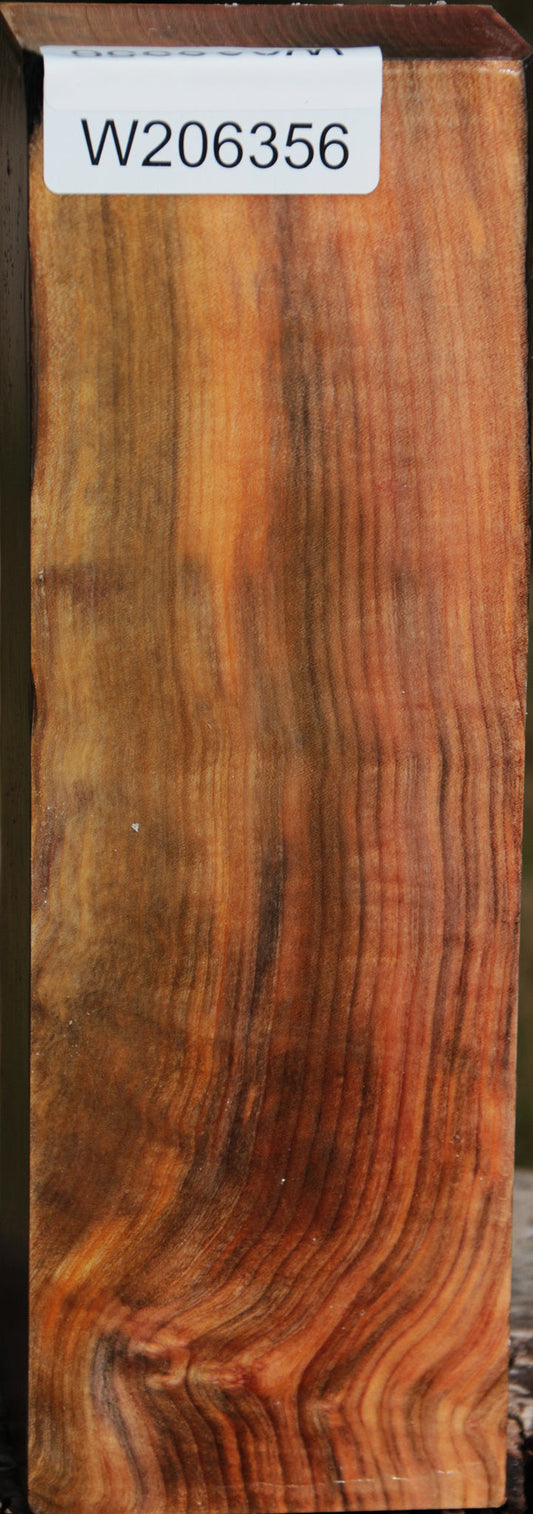 Madrone Turning Blank