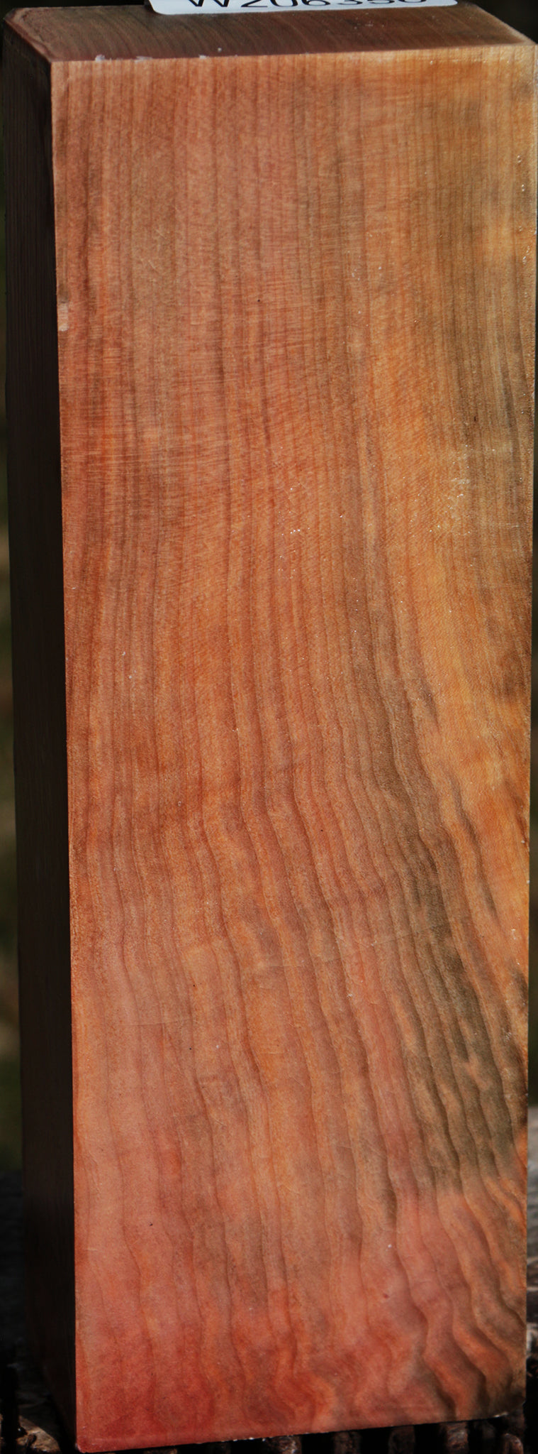 Madrone Turning Blank