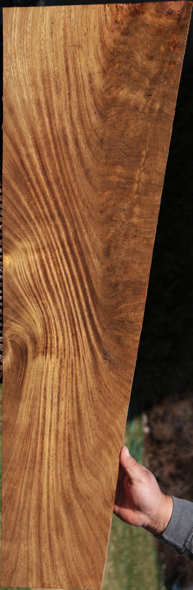 Extra Fancy Figured Crotchwood Cerejeira Lumber