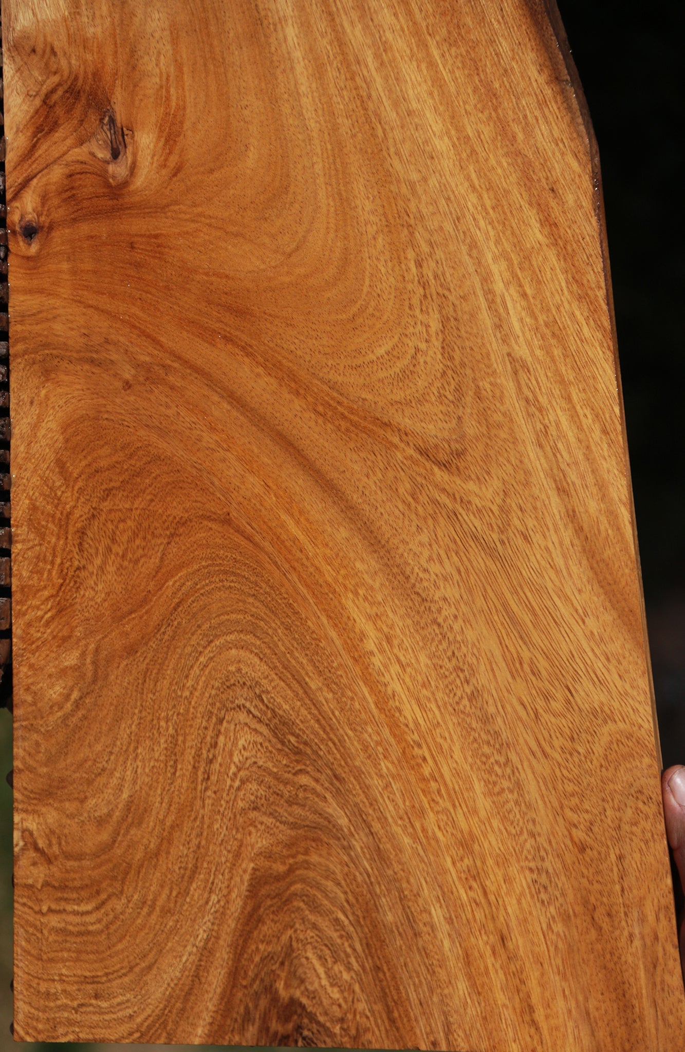 Extra Fancy Figured Crotchwood Cerejeira Lumber