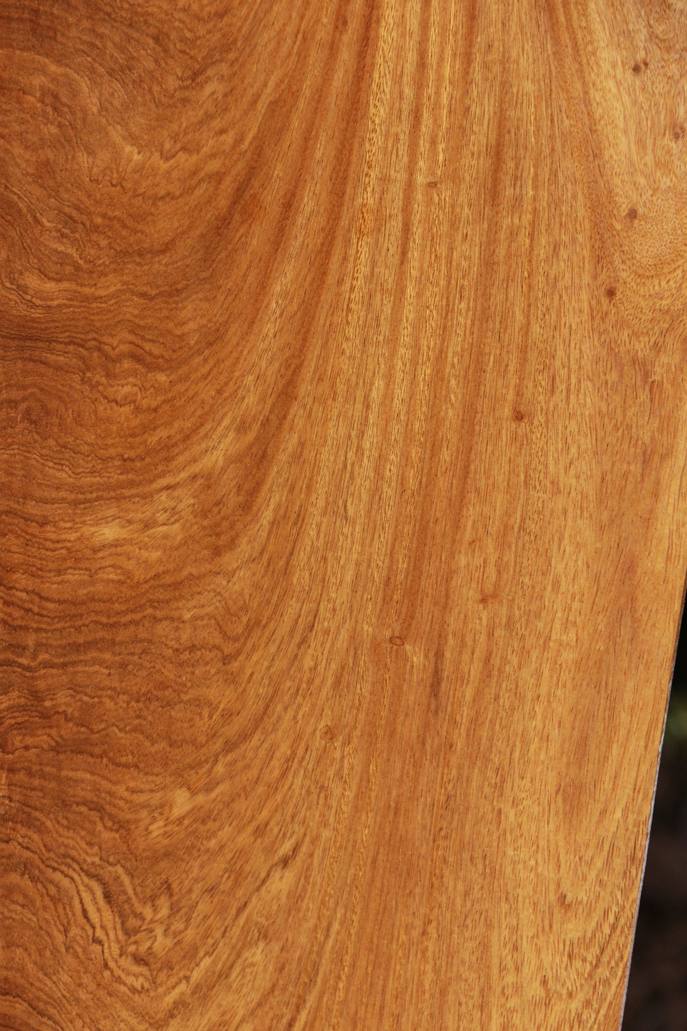 Extra Fancy Figured Cerejeira Micro Lumber