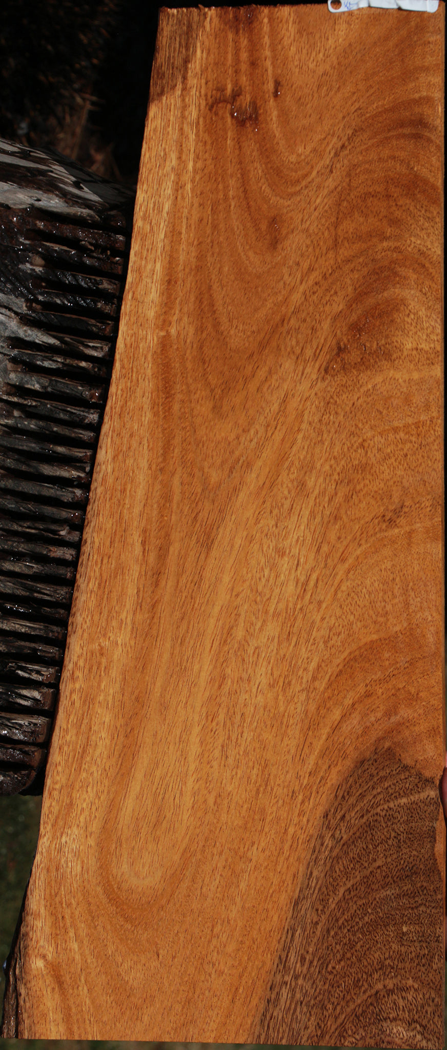 Extra Fancy Figured Crotchwood Cerejeira Micro Lumber