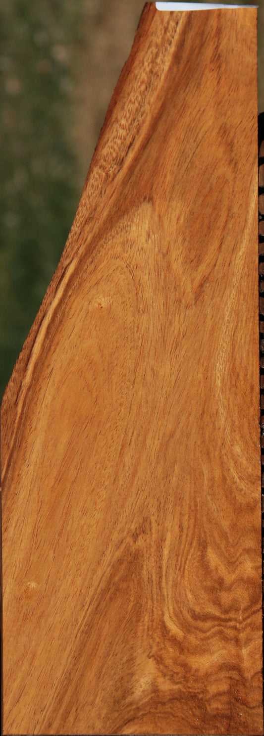 Extra Fancy Figured Cerejeira Live Edge Micro Lumber