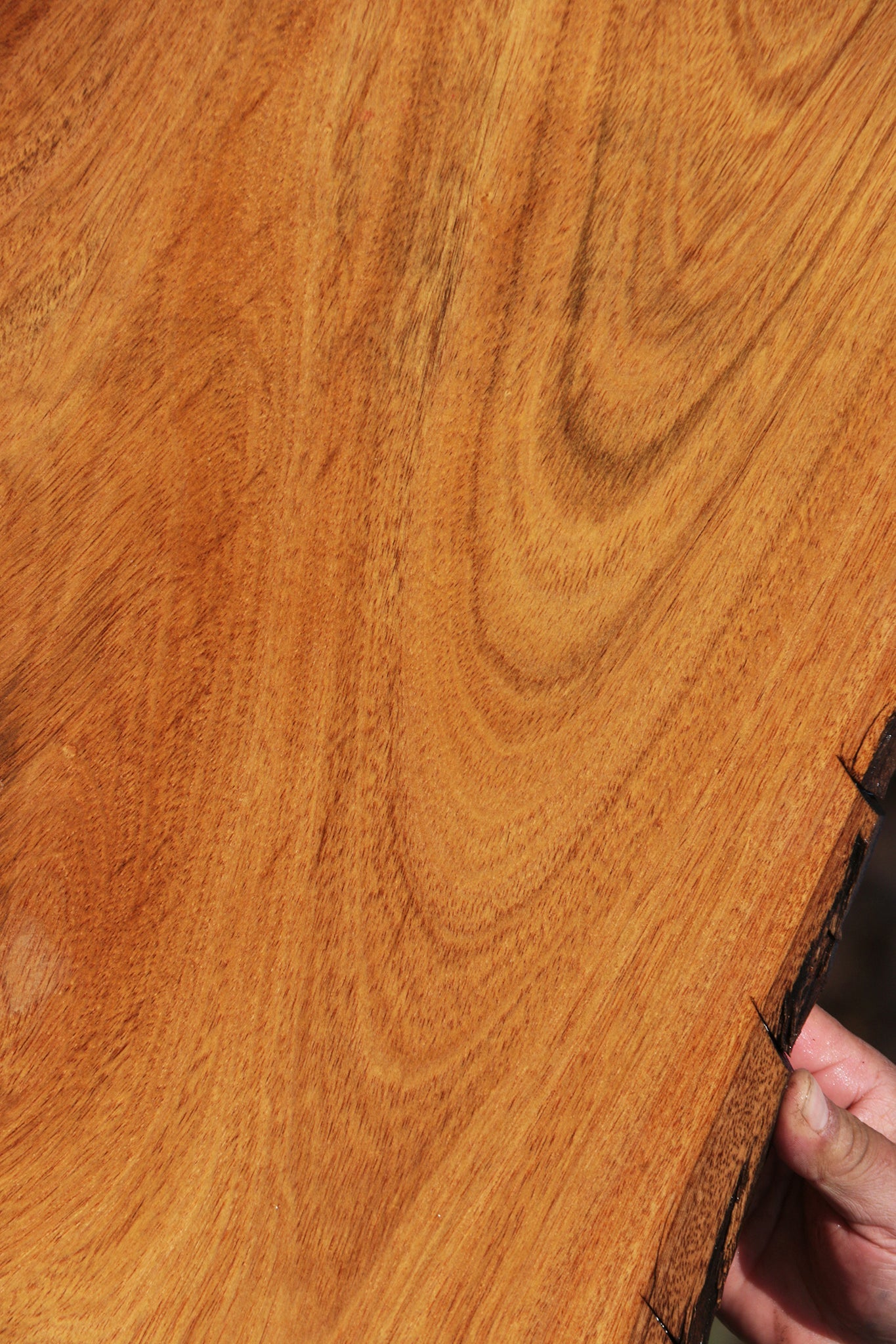 Extra Fancy Figured Crotchwood Cerejeira Live Edge Lumber