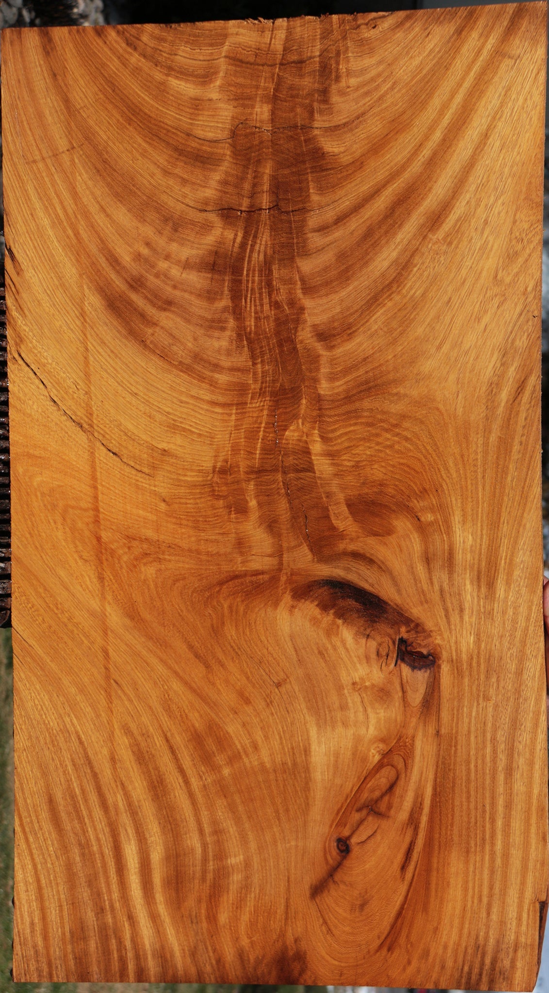 Figured Crotchwood Cerejeira Lumber – Cook Woods