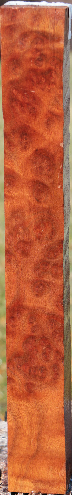 Camphor Burl Turning Square