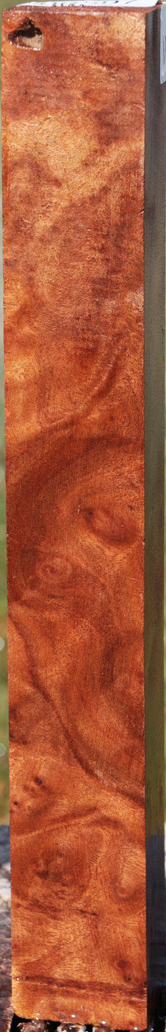 Camphor Burl Turning Square