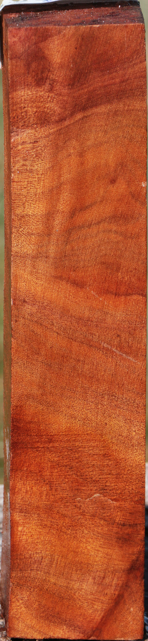 Camphor Burl Turning Square