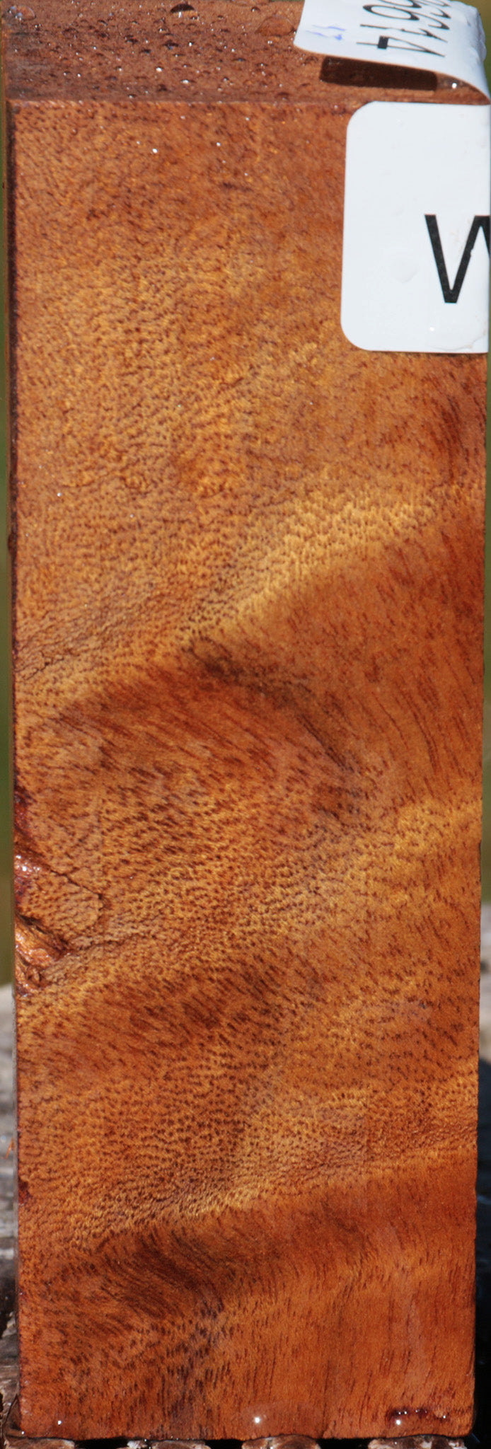 Camphor Burl Turning Square