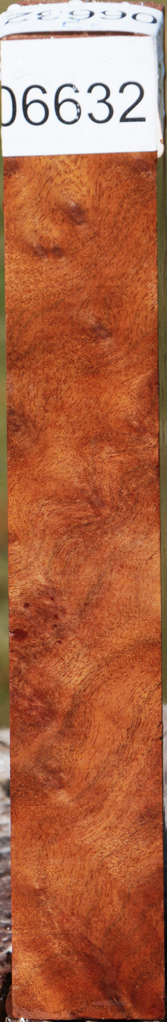 Camphor Burl Turning Square