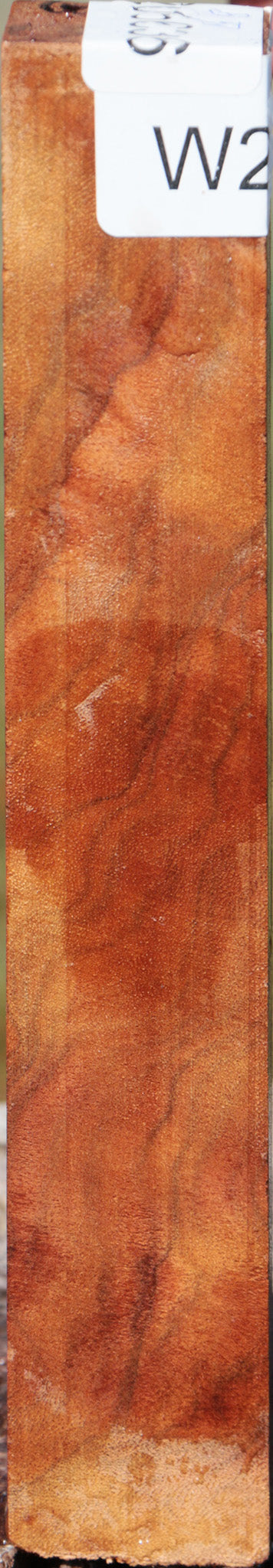 Camphor Burl Turning Square