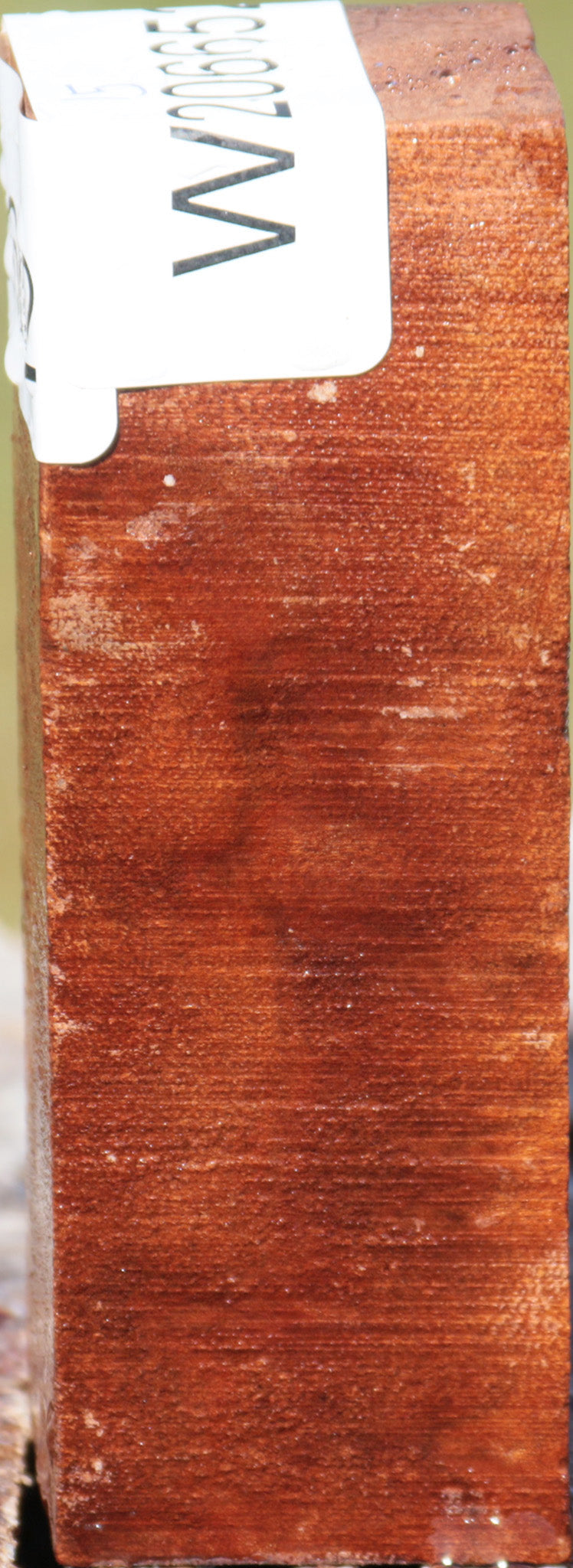 Camphor Burl Turning Square