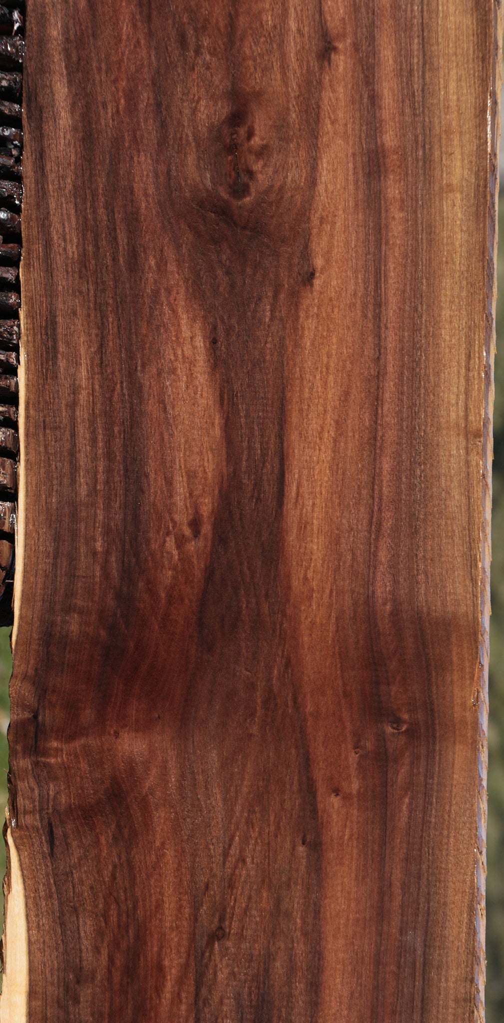 Mansonia Lumber