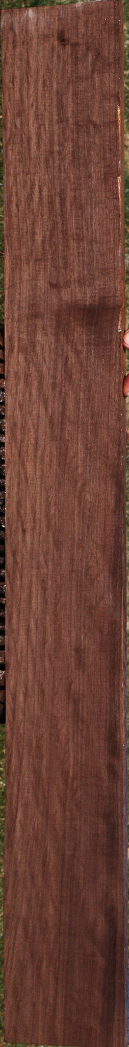 Extra Fancy Mansonia Micro Lumber