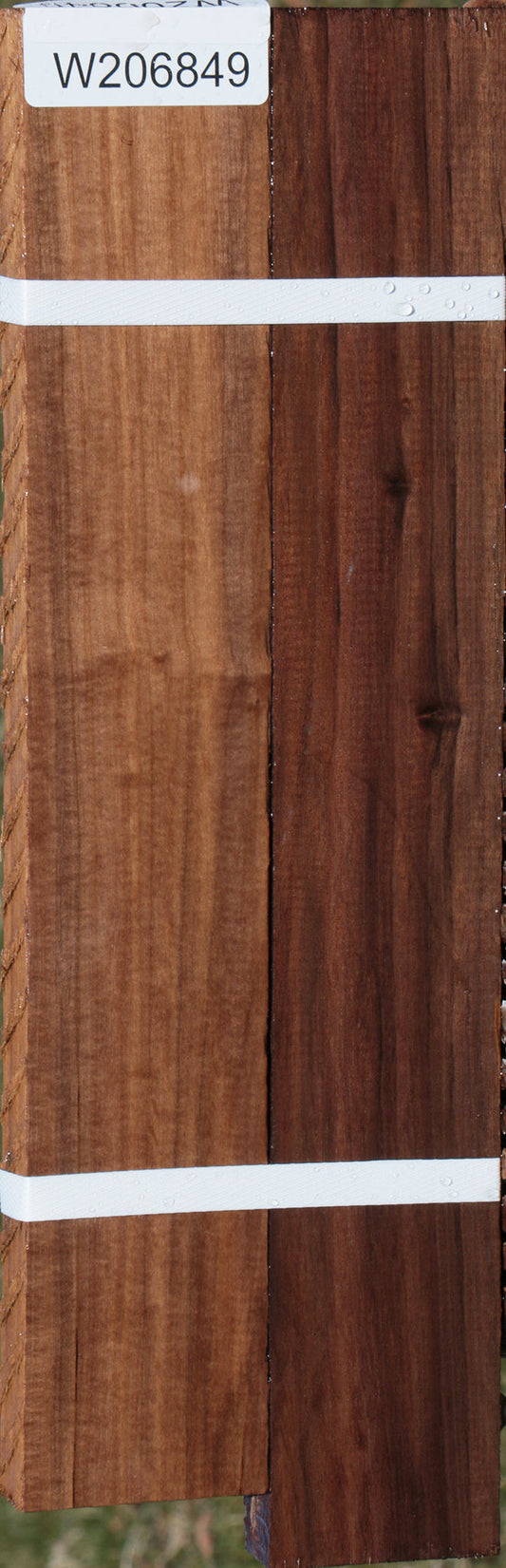 Mansonia Lumber (2 pack)
