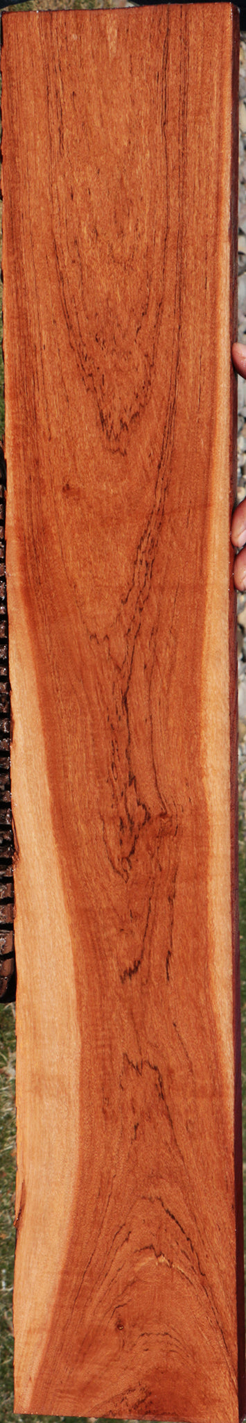 Zambezi Teak Lumber