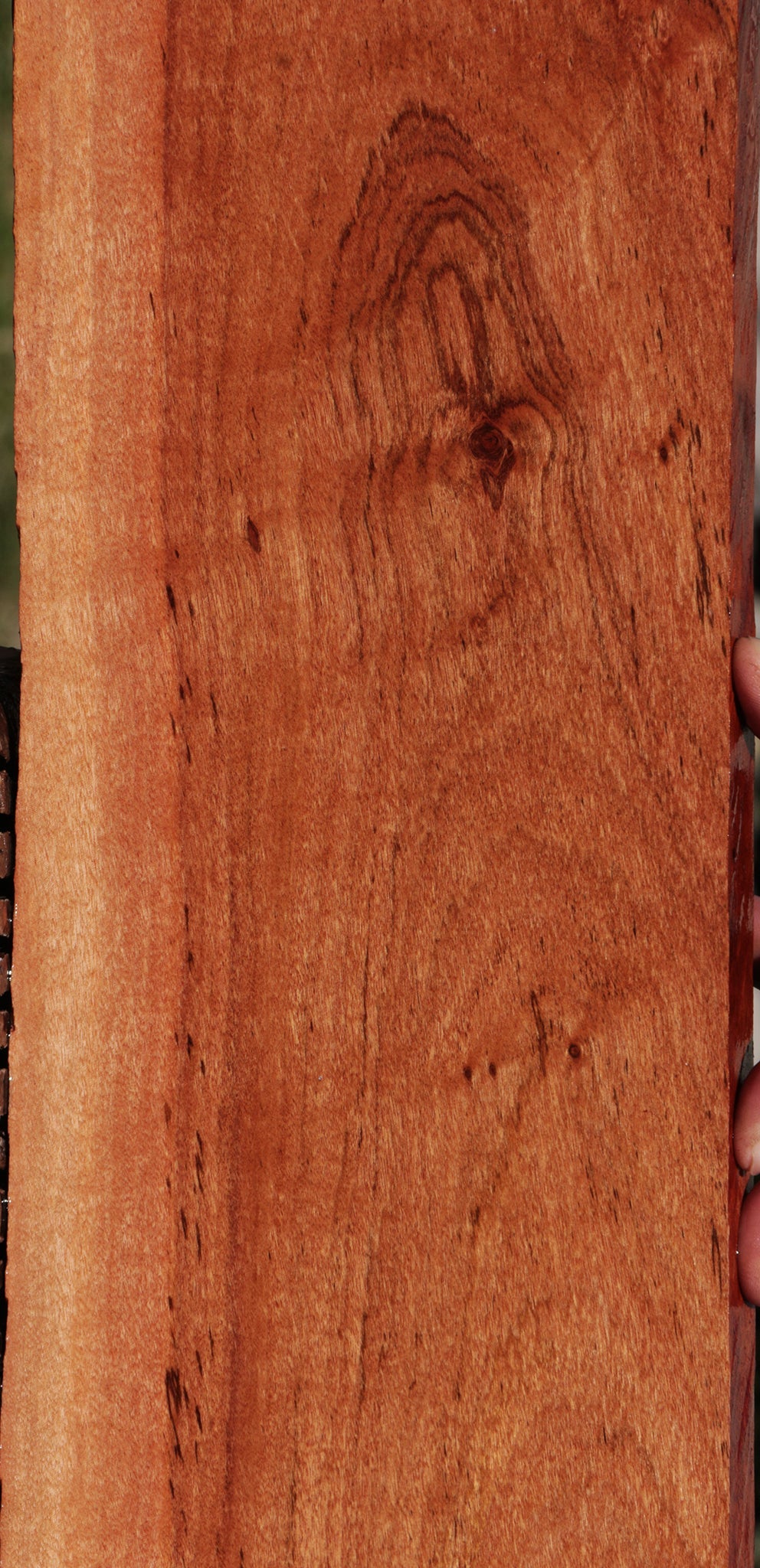Zambezi Teak Lumber