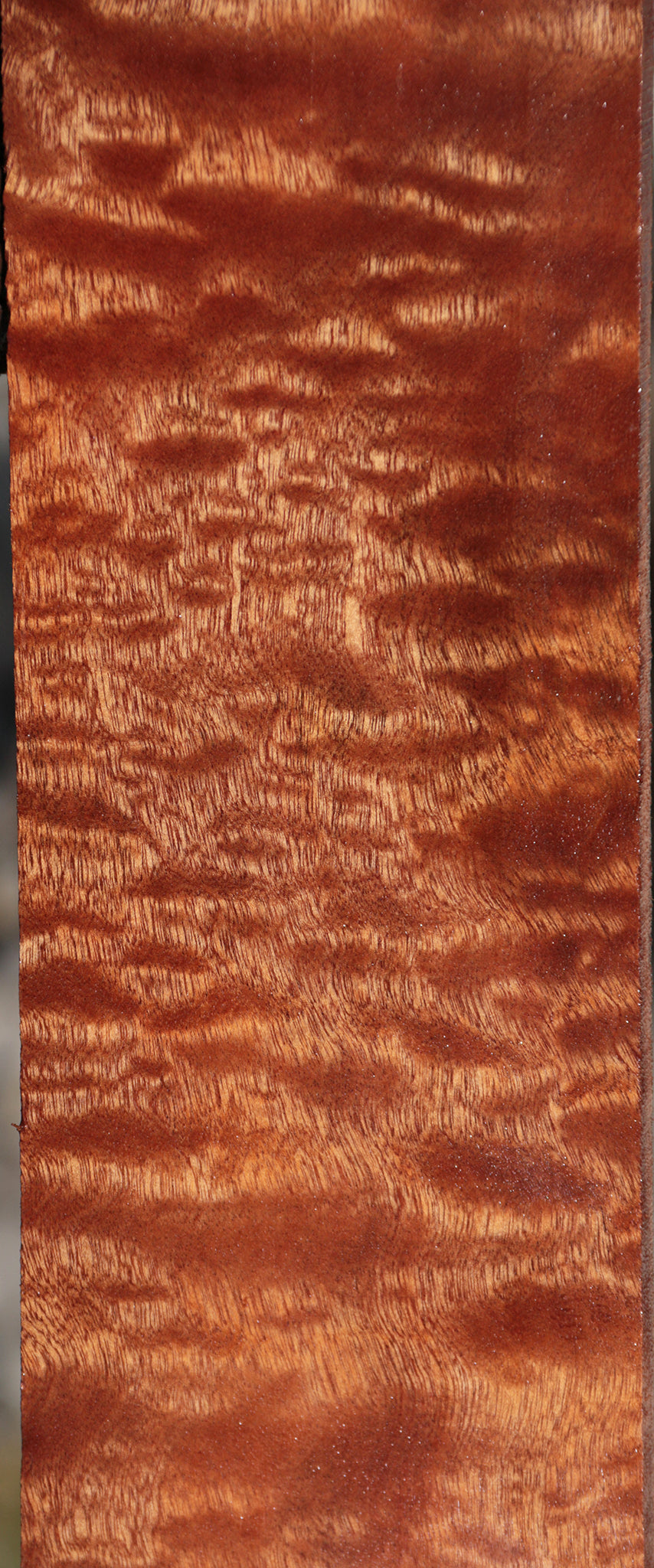 Exhibition Sapele Instrument Lumber