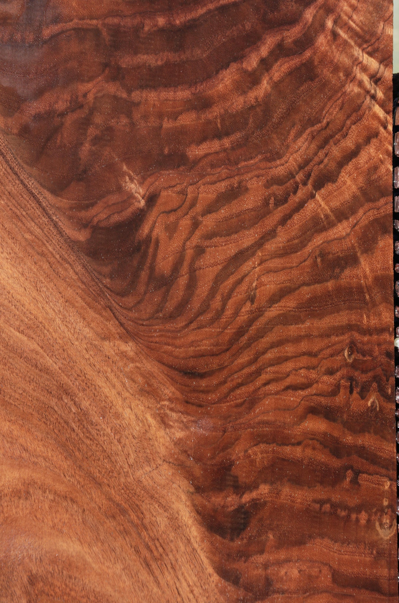 Exhibition Crotchwood Claro Walnut Instrument Lumber