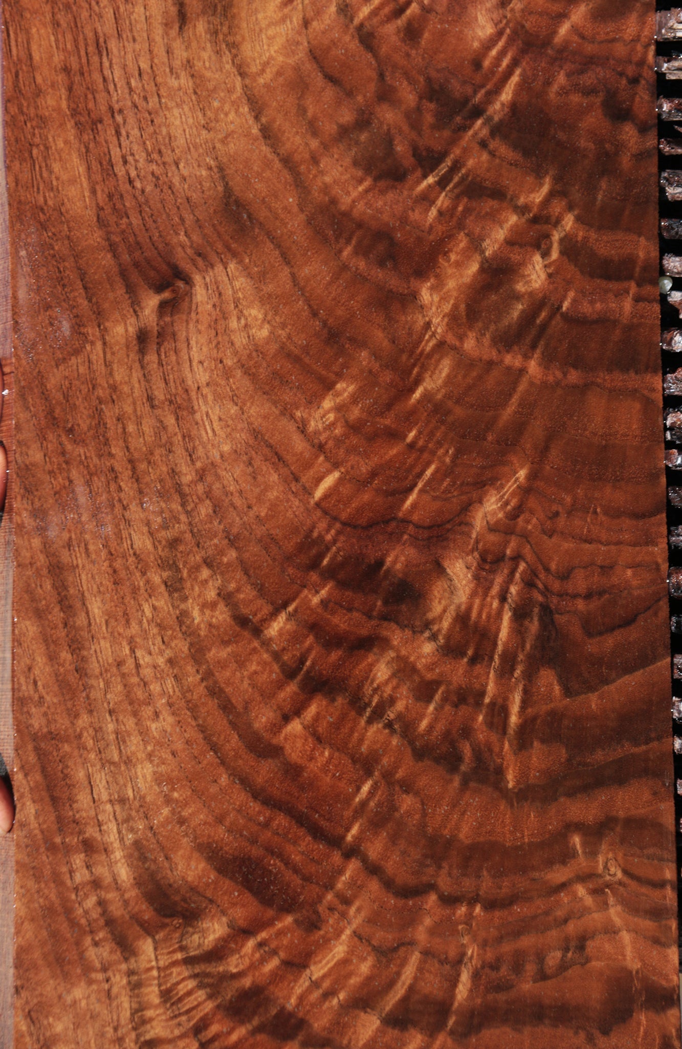 Exhibition Crotchwood Claro Walnut Instrument Lumber