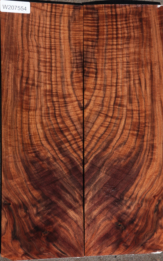 Exhibition Claro Walnut Micro Lumber (2-Piece Set)