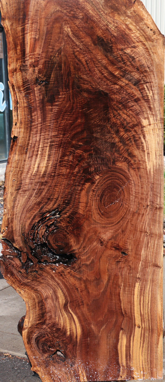 Rustic Crotchwood Claro Walnut Live Edge Lumber