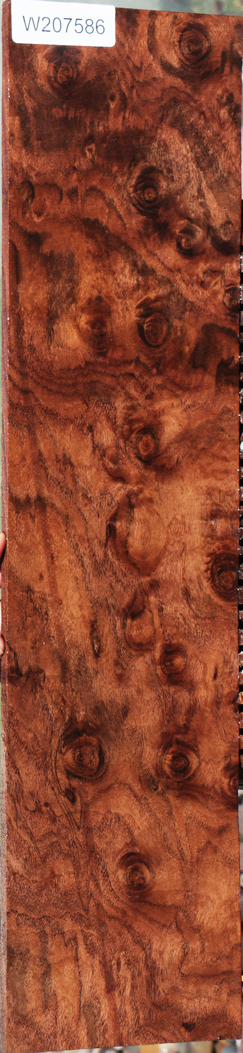 Exhibition Claro Walnut Micro Lumber