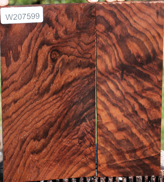 Claro Walnut Micro Lumber (2-Piece Set)