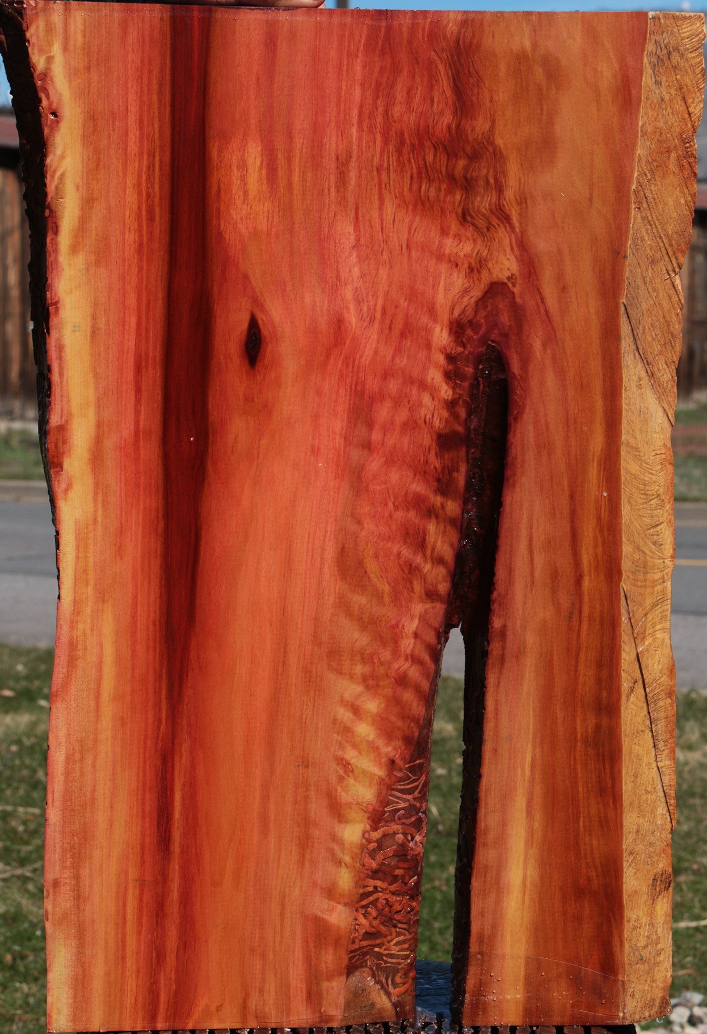 Crotchwood Redheart Live Edge Lumber