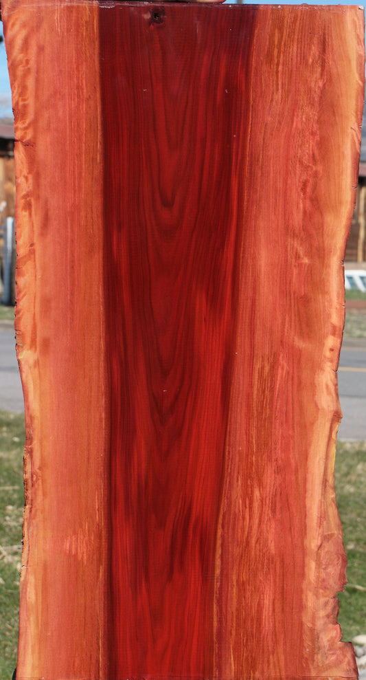 Redheart Live Edge Lumber