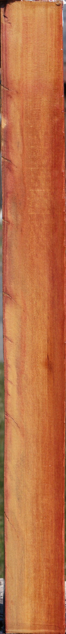 Redheart Live Edge Lumber