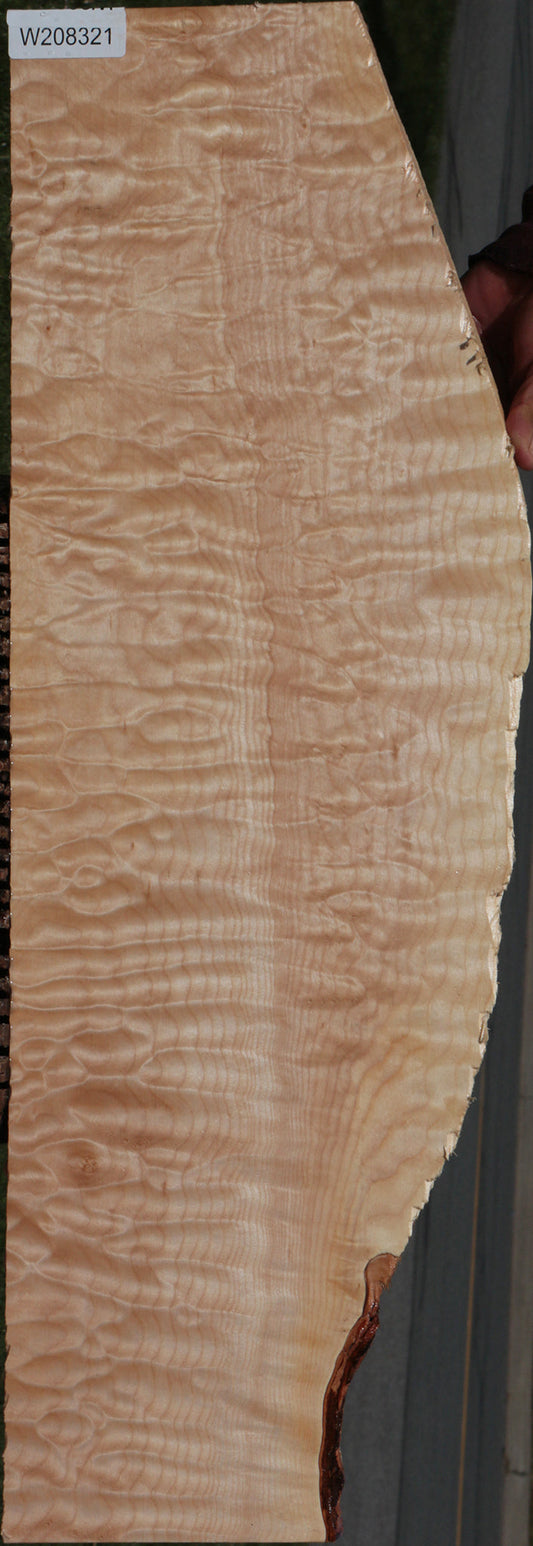 Exhibition Quilted Maple Live Edge Instrument Lumber