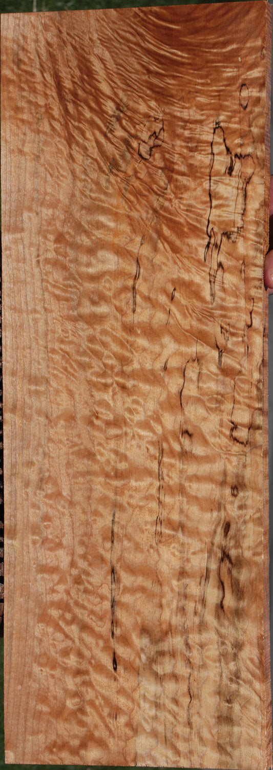 Extra Fancy Quilted Maple Lumber