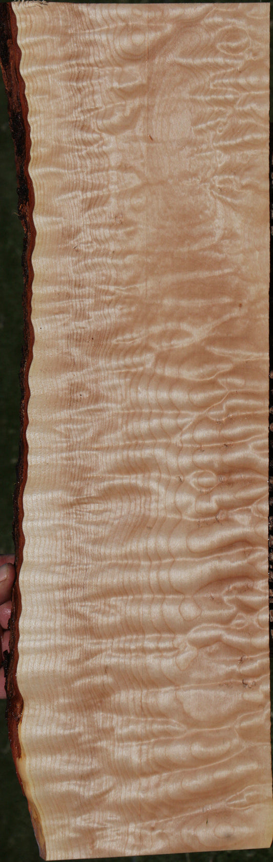 Exhibition Quilted Maple Live Edge Lumber