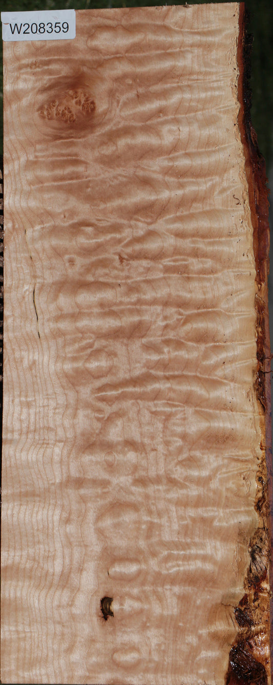 Extra Fancy Quilted Maple Instrument Lumber