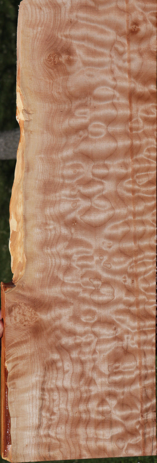 Exhibition Quilted Maple Live Edge Instrument Lumber
