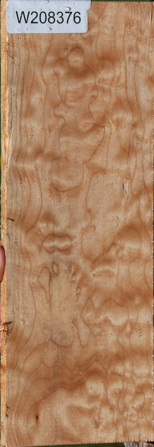 Quilted Maple Micro Lumber