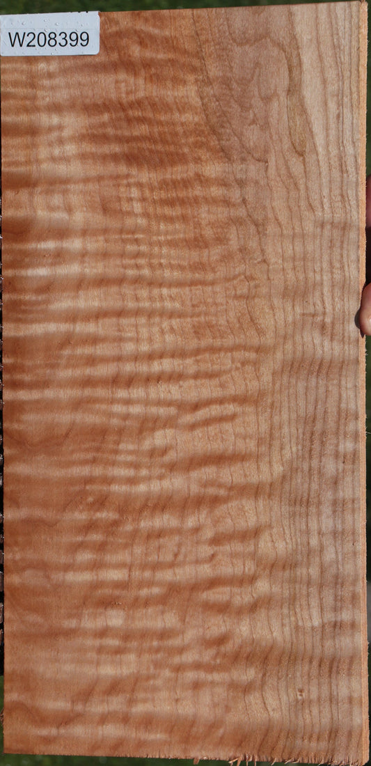 Extra Fancy Quilted Maple Lumber