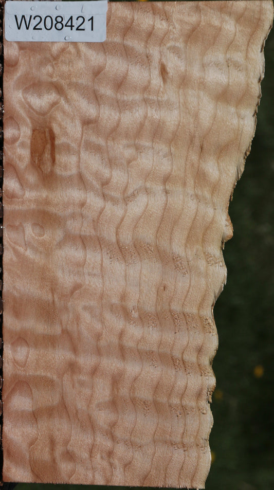 Exhibition Quilted Maple Live Edge Micro Lumber
