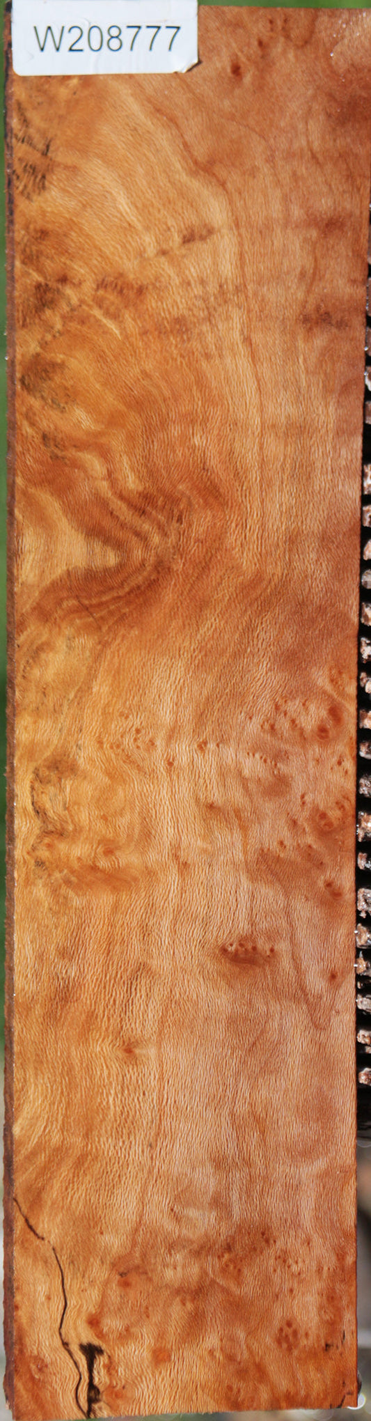 Spalted Sycamore Burl Lumber