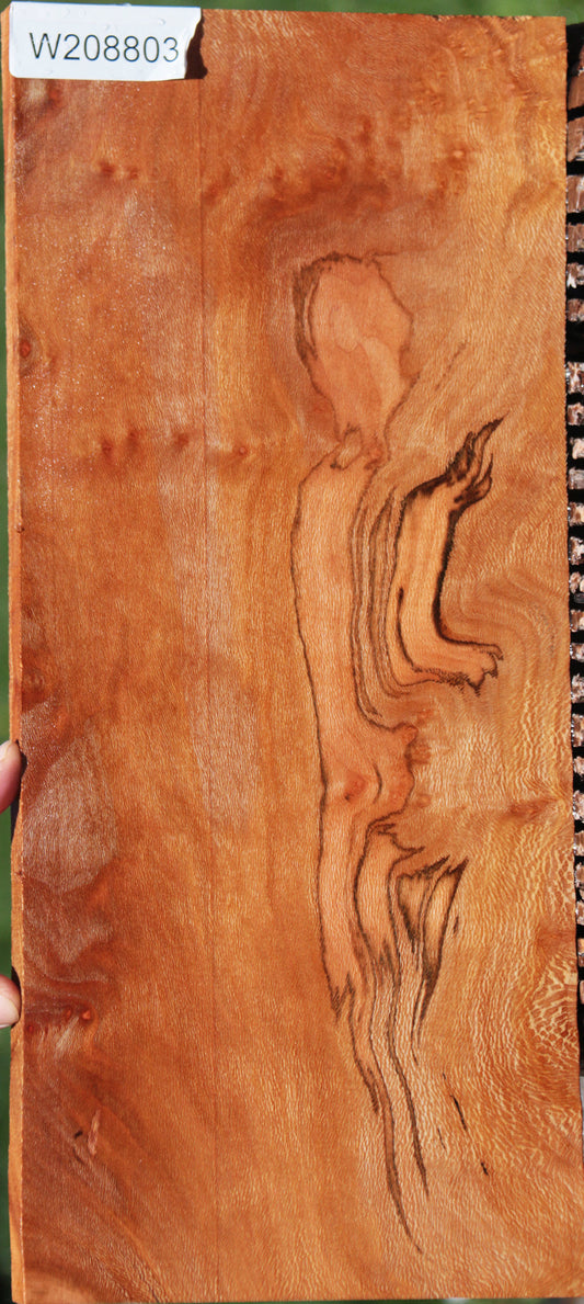 Figured Spalted Sycamore Burl Lumber