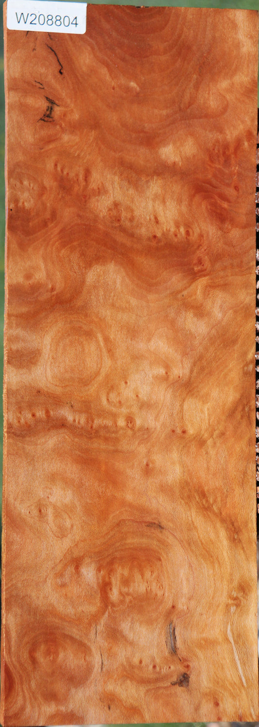 Extra Fancy Sycamore Burl Instrument Lumber