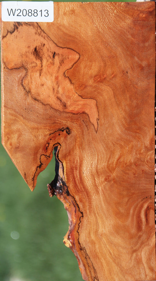 Spalted Sycamore Burl Live Edge Lumber