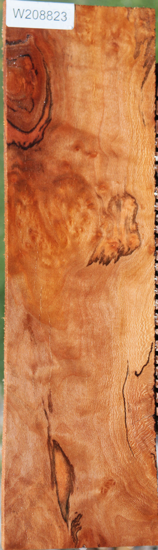 Spalted Sycamore Burl Lumber