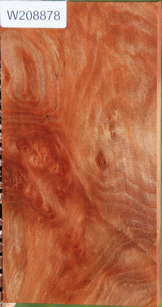 Extra Fancy Sycamore Burl Lumber